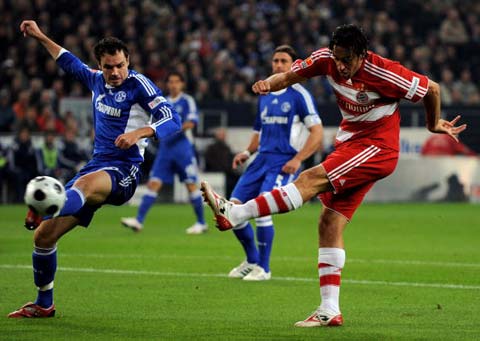 他们敏锐的 他们敏锐的